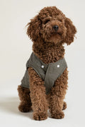FLOTTE - Doudoune pour chien Vincennes