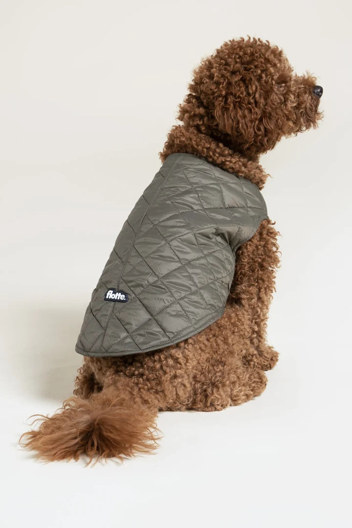 FLOTTE - Doudoune pour chien Vincennes