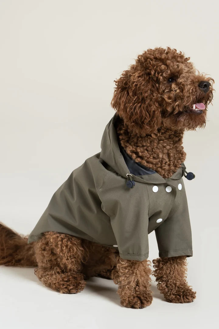 FLOTTE - Imperméable pour chien Boulogne Kaki