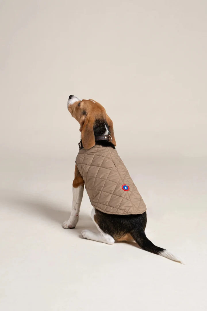 FLOTTE - Doudoune pour chien Vincennes