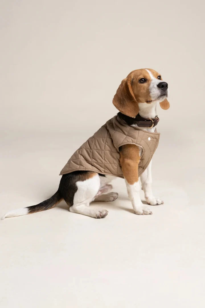 FLOTTE - Doudoune pour chien Vincennes
